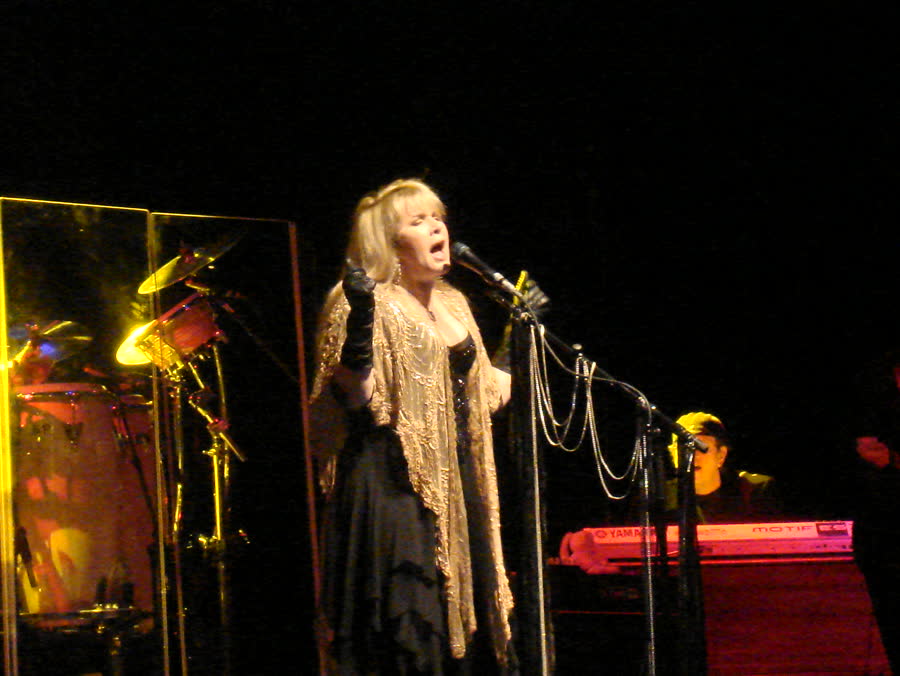 Stevie Nicks